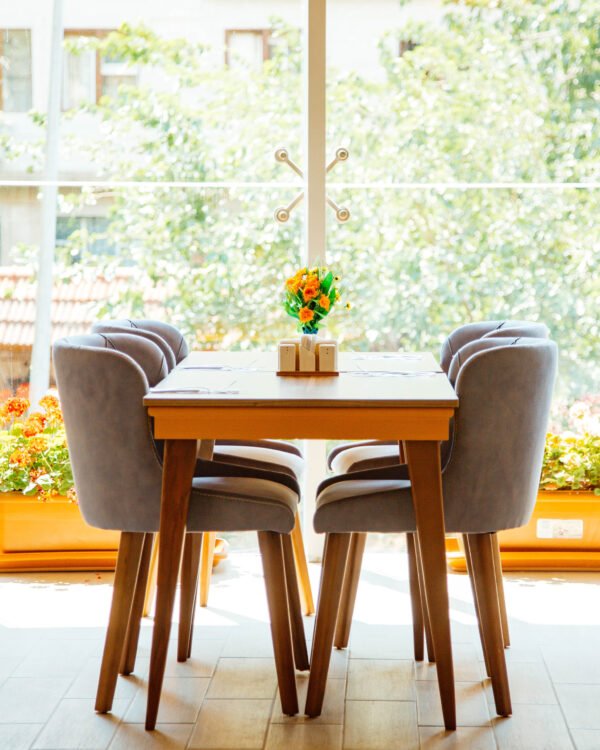 Siena Dining Chair